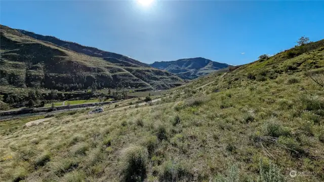 Flatter area below orchard. Looking West.