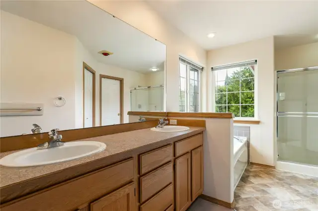 dual sinks