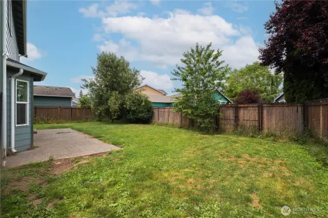 Back Garden.