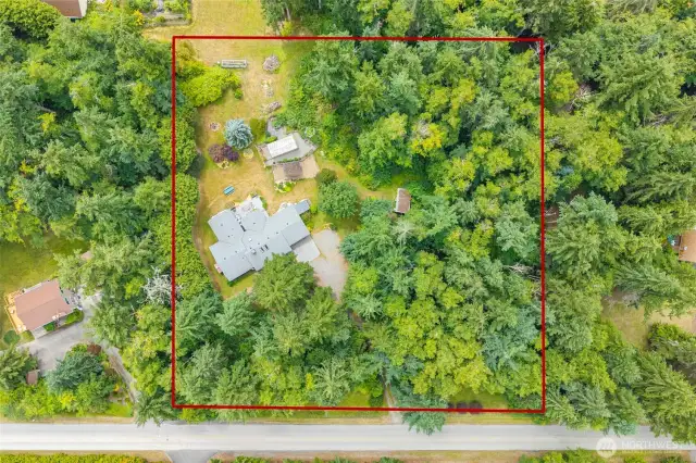 Rough property boundry lines.
