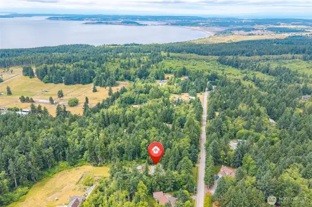 Rural setting on a dead end street yet close to all that Oak Harbor and Whidbey Island have to offer.