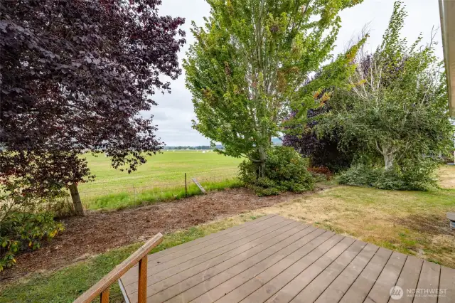 Private back yard