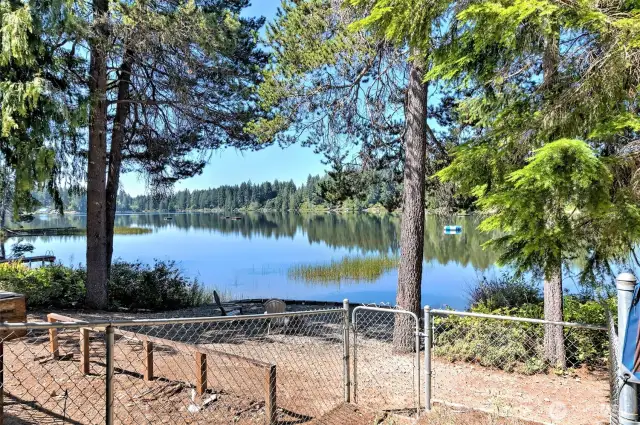 Fenced in area - possibly a dog run?