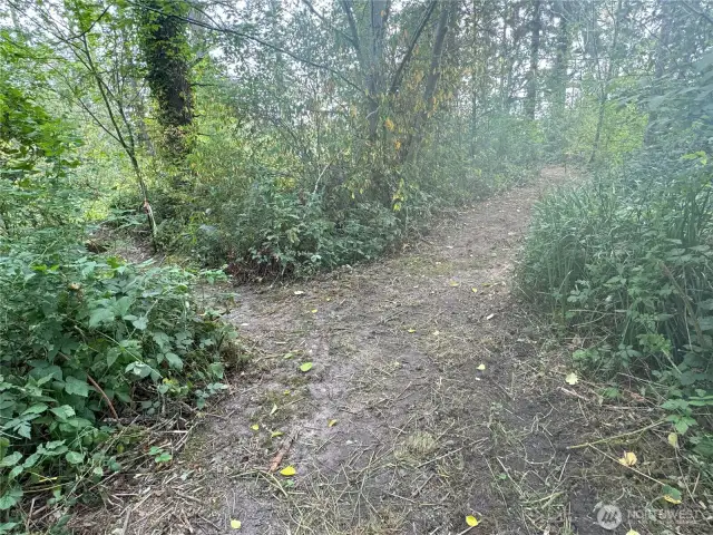 off the groomed trail to the left are the perc holes which are marked with stakes