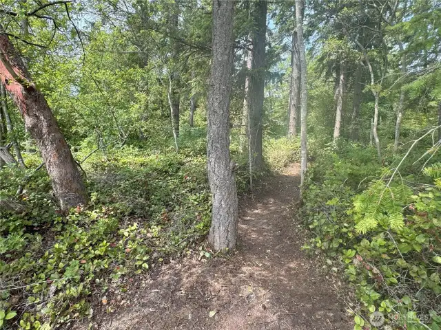 this beautiful property is lightly treed and so beautiful!
