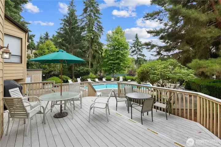 Relax next to the pool on the summer