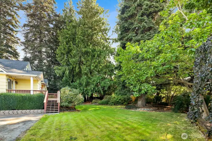 Another view of the large backyard