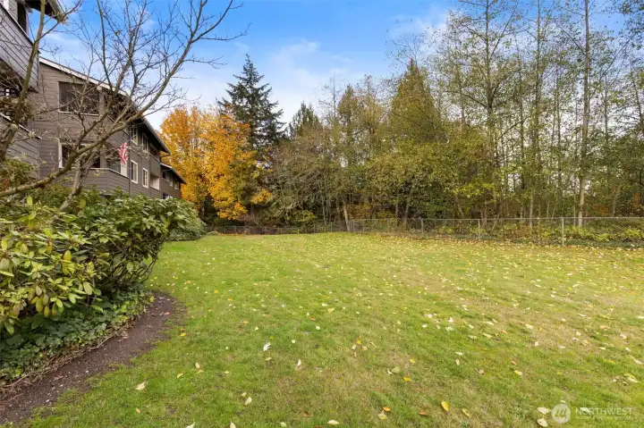 Large yard just outside patio