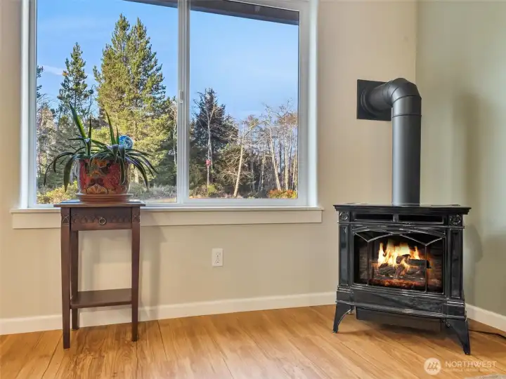 freestanding stove with heat control.