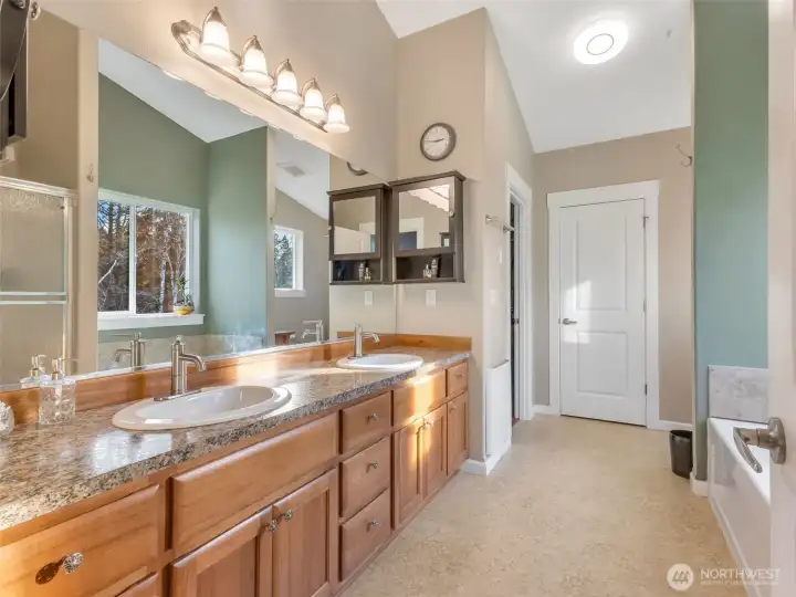 Primary bedroom suite with attached bathroom and walk-in closet.