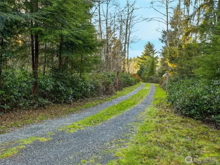 Private driveway with fence and motion sensor for security.