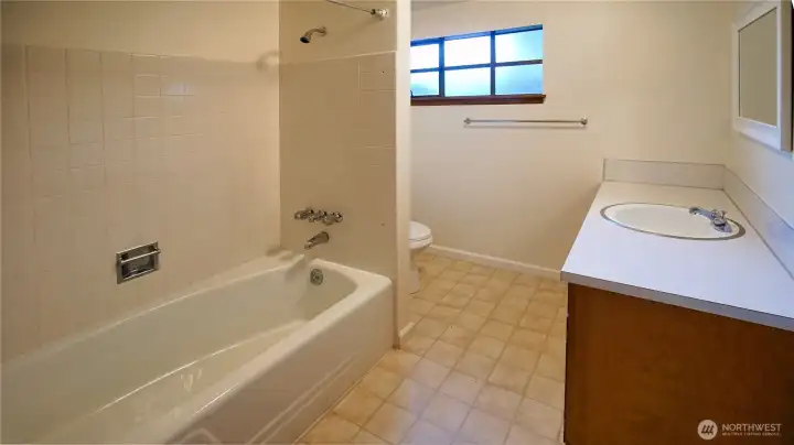Lower level full bath.