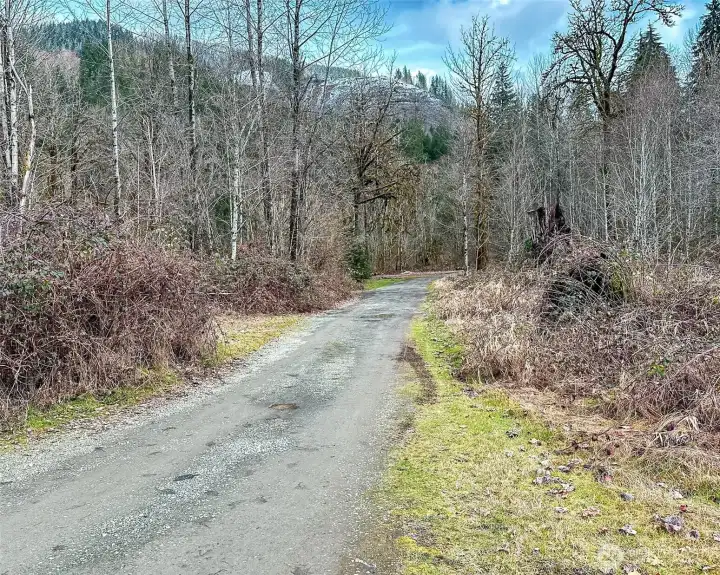 Long Private Driveway