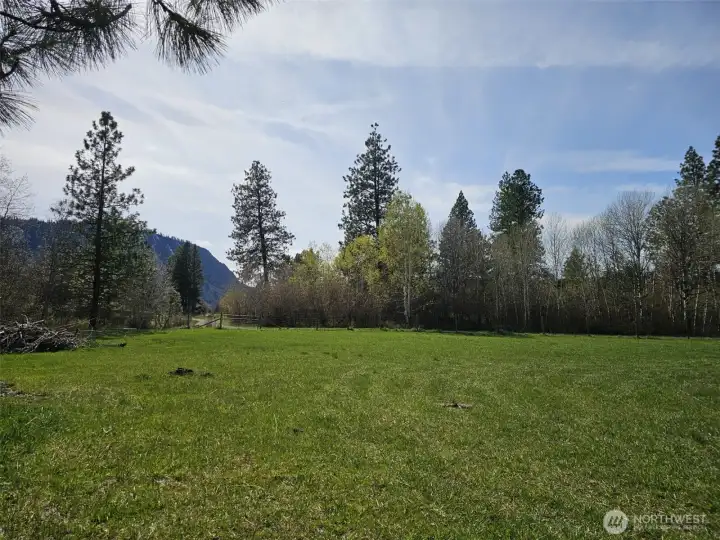 Gorgeous, level, green fields for your 4 legged friends to romp and roam