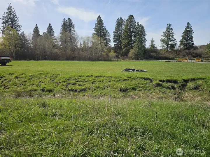Iron Mountain Road is just on the west side of this lovely field