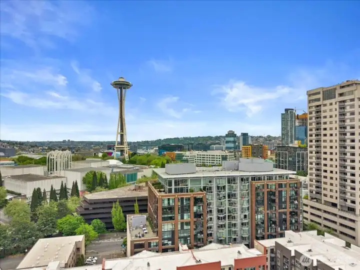 Don't miss the roof top deck, beautiful Puget Sound, Olympic Mountain, Space Needle and City Views!!!