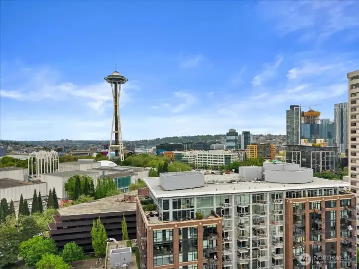 More views from the roof top deck.