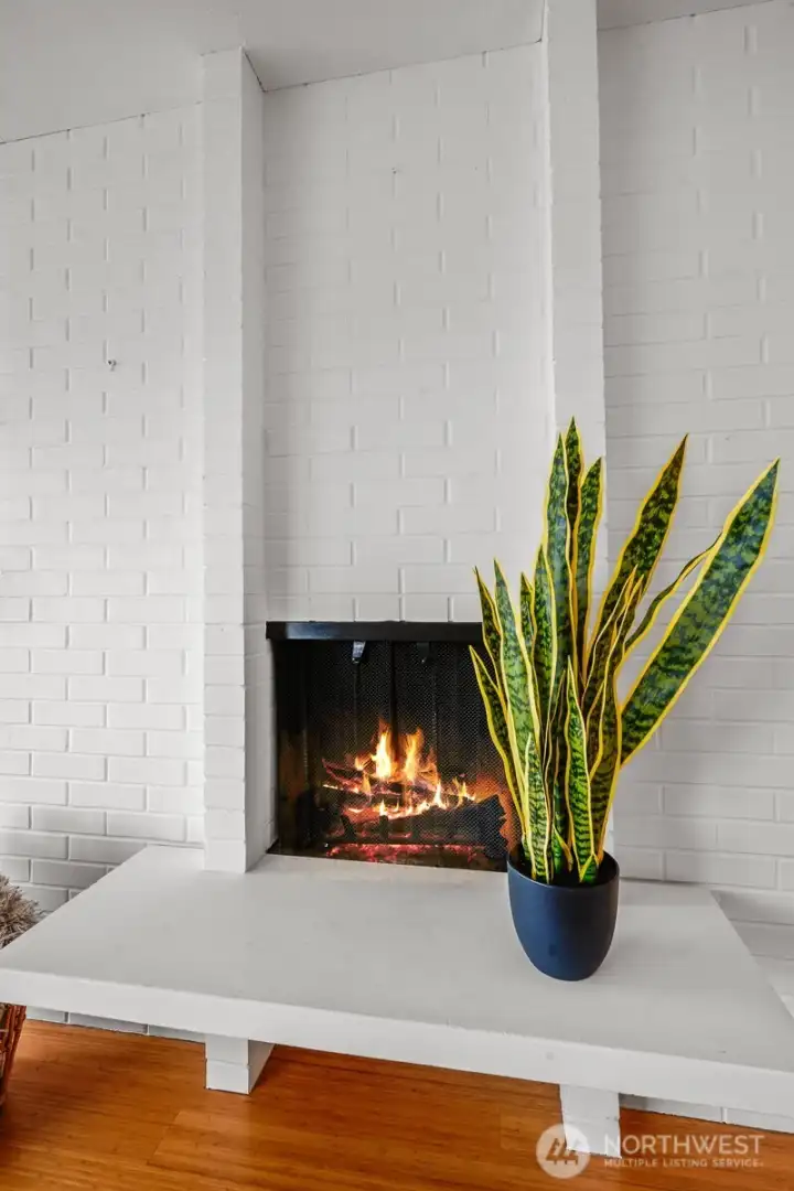 Wood burning fireplace