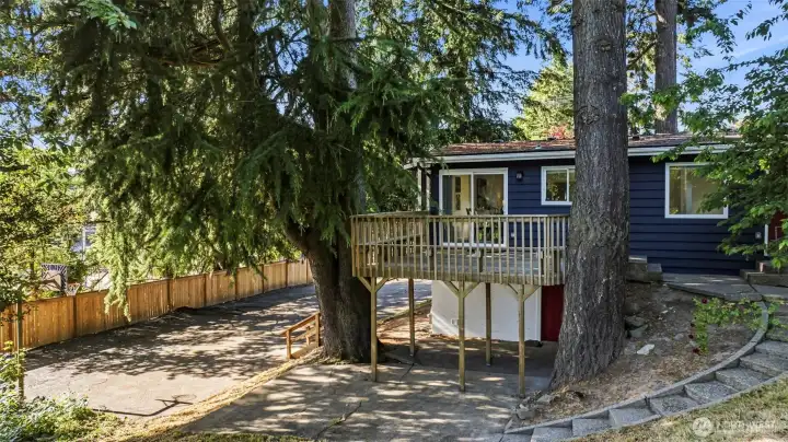 A view from the back yard, nice lawn areas for enjoyment and garden beds.