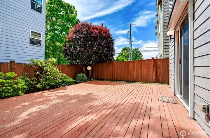 Fully-fenced back yard. The large deck can accommodate a patio set, loungers, flower pots..