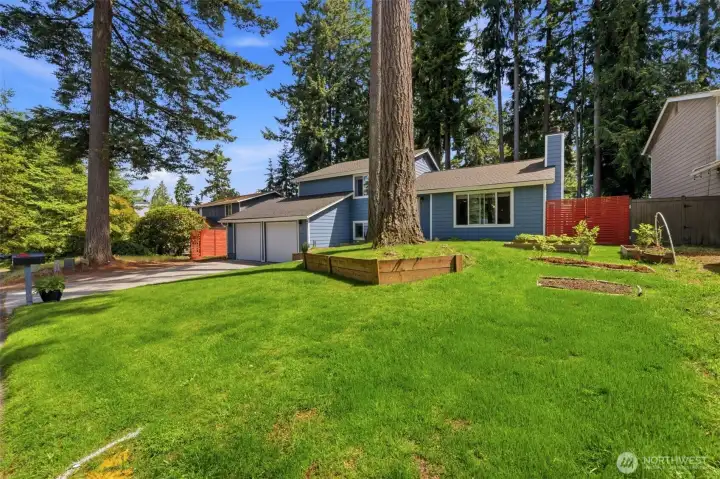 Roomy lot in front and back of home welcomes you!