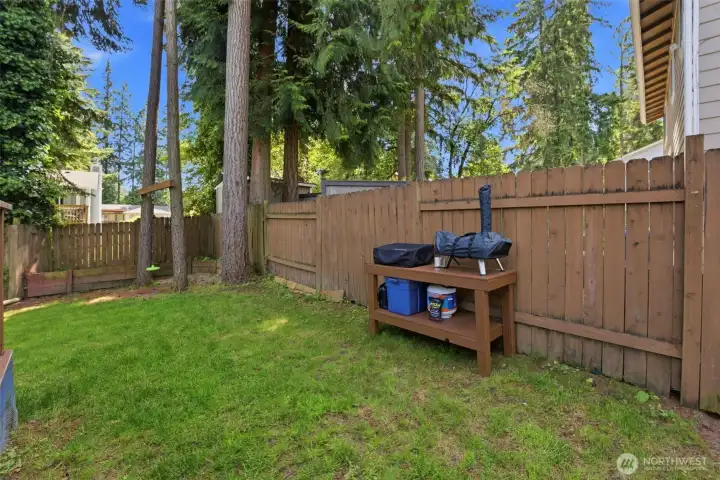 Fully fenced backyard with plenty of space for activities