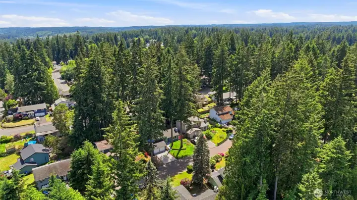 Larger lots, mature trees and a smaller, quiet neighborhood near parks and shopping. And the ferry is close too!