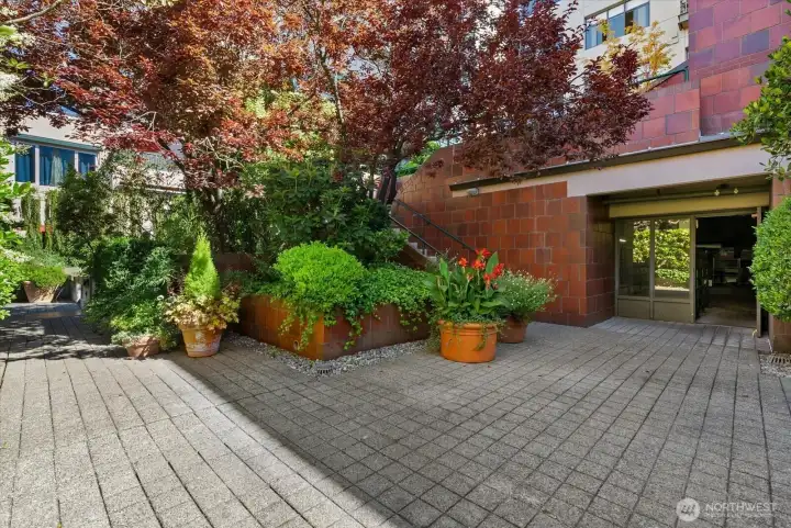 Expansive terrace garden space