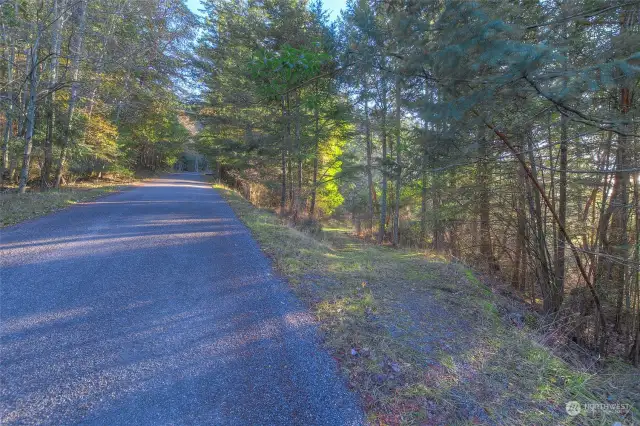 Paved Buck Mt Rd.