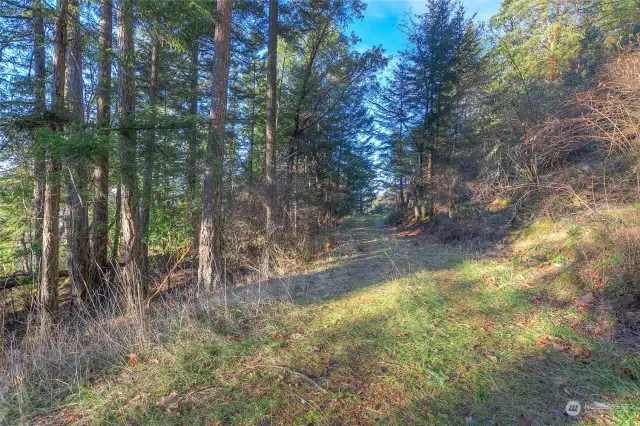 Driveway northern entry