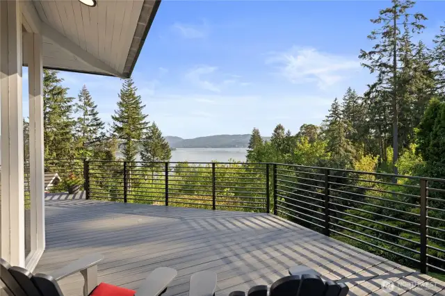 A view of the huge deck. Notice the new decking and railing!