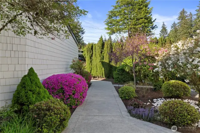 Look at the vibrant color in this private courtyard!