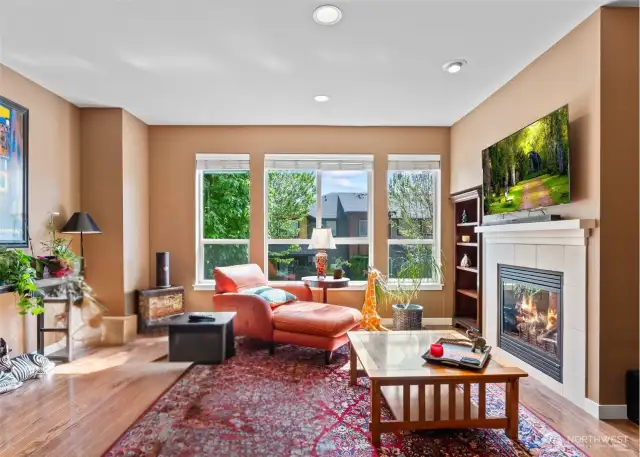Large Living room with Gas fireplace