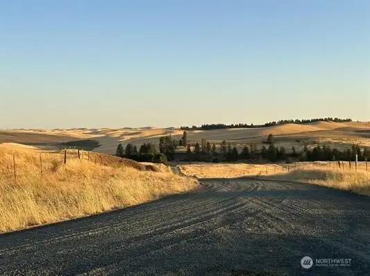 Unpaved City St.