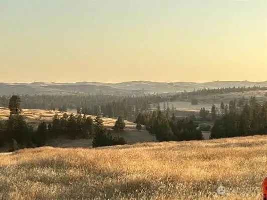 Best Views