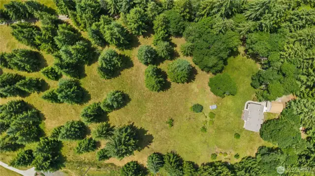 Birds-Eye Beauty: Your Private Orchard Awaits!  From above, you can see it all—your very own apple orchard, thriving grapevine, and expansive clearing tucked into lush Pacific Northwest forest. Whether you're dreaming of homesteading, hobby farming, or just space to breathe, this is the perfect blend of serenity and opportunity.