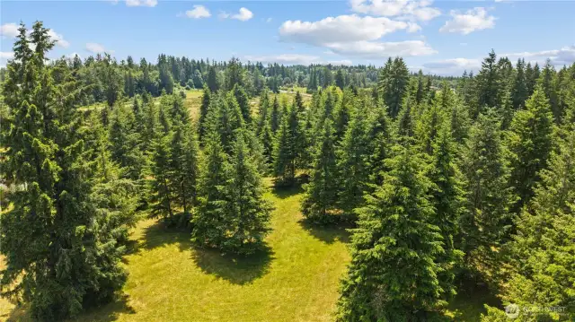 Privacy. Possibility. Potential.  Welcome to your own private forest sanctuary! This aerial shot outlines the full scope of the 9+ acre lot, offering a peaceful escape surrounded by evergreens with room to build, expand, or just breathe.