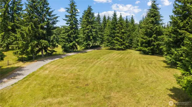Peaceful Pasture & Tree-Lined Driveway – Build Your Dream Outdoors  This serene stretch of land offers a lush, open lawn bordered by towering evergreens & the property's private gravel driveway. With nearly 10 acres to call your own, this area is ideal for outdoor recreation, gardening, or future expansion. The flat terrain provides usable space for outbuildings, livestock, or a hobby farm, while the surrounding trees create a sense of seclusion & quiet. A rare combination of open meadow & mature forest—perfect for those seeking privacy, space & Pacific Northwest charm.