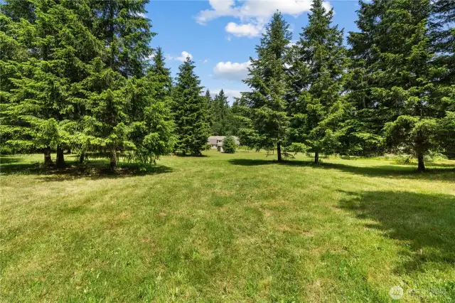 Expansive Clearing Surrounded by Evergreen Privacy  This beautifully maintained grassy clearing is the perfect space for outdoor activities, gardening, or potential building projects. Framed by lush, mature evergreens, it offers a private, park-like setting that’s ideal for play, relaxation, or entertaining. Whether you're envisioning a fire pit, picnic area, or future homestead addition, this flat & usable land delivers endless possibilities in the heart of the Pacific Northwest.