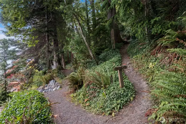 Walking trail.