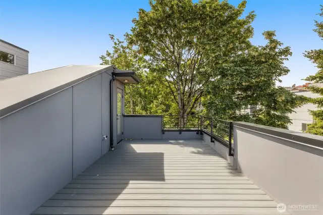 Spacious rooftop entertaining area — perfect for grilling, lounging, or stargazing.