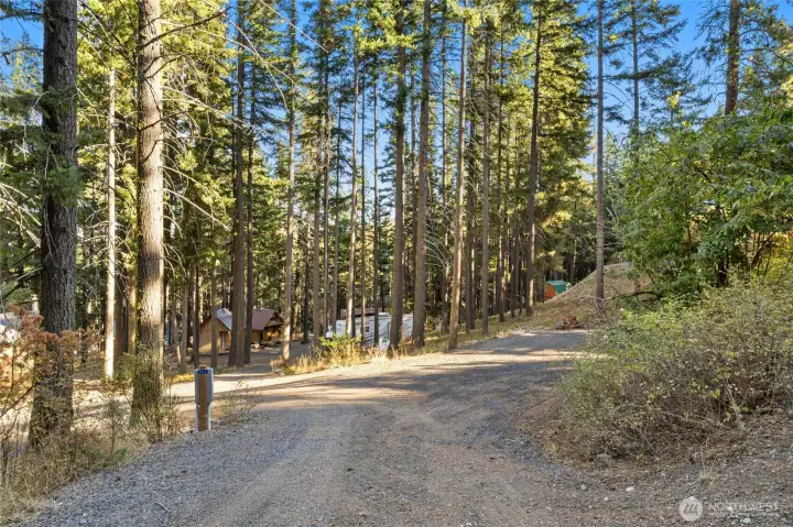 The view from the top of the driveway. RV space with hookups on the right.