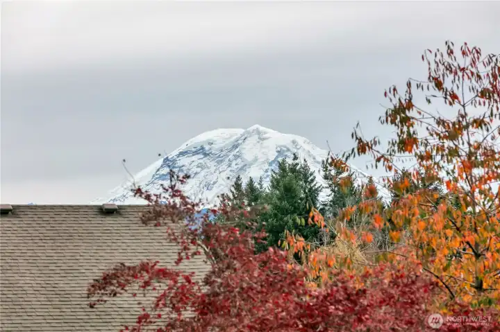 Mt. Rainier View form the front of the home!