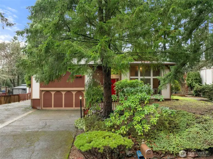 Welcome to Fox Glen!