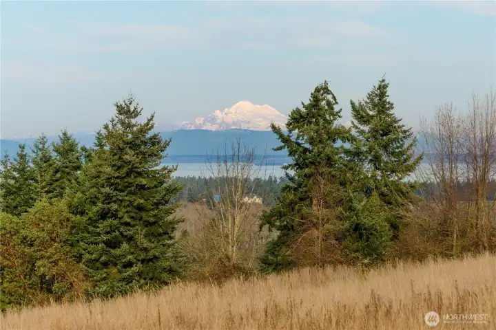 Mt. Baker