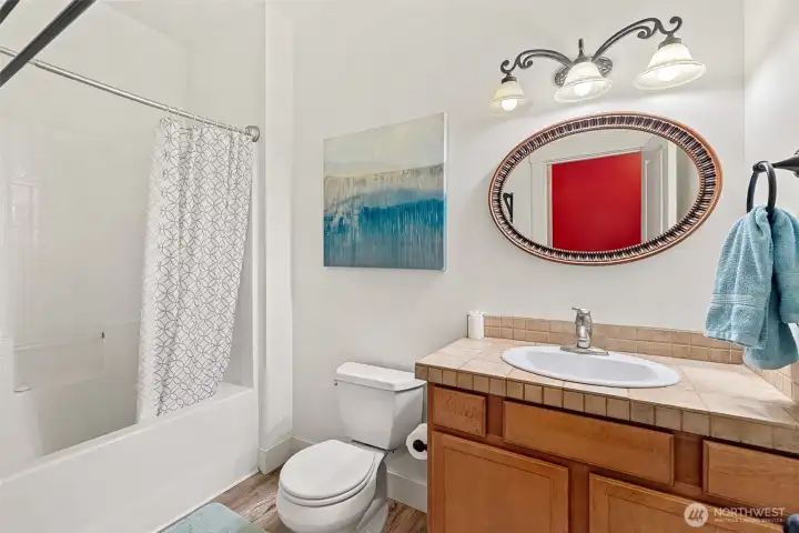 Lower level Bathroom