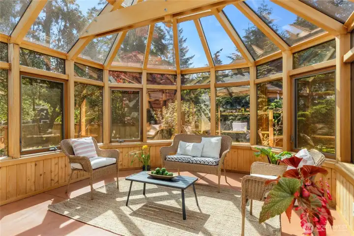 Solarium is wonderful for gathering and plants!