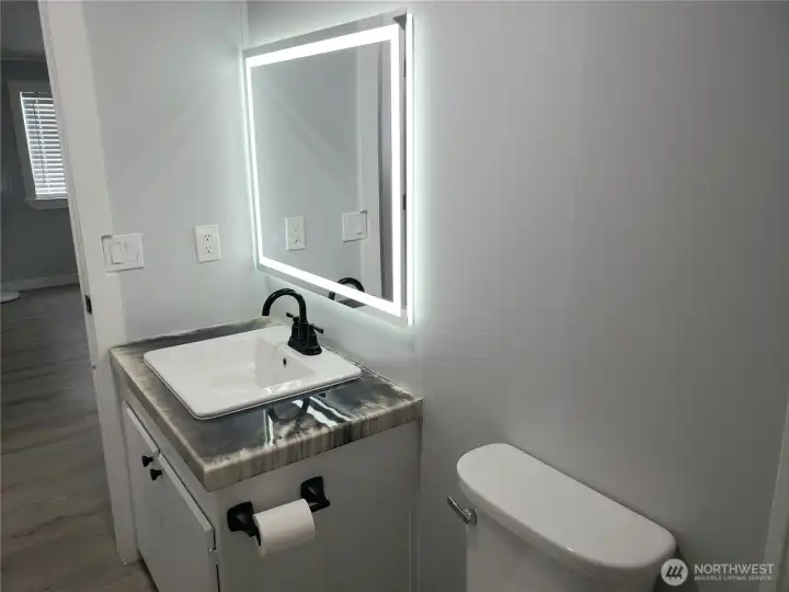 Another Picture of the Large Main Guest Bathroom showing New Sink, Faucet, Countertop, Lighted Vanity Mirror, Interior Paint, White Painted Trim and the New Vinyl Plank Flooring. Another Picture of the Large Main Guest Bathroom showing New Sink, Faucet, Countertop, Lighted Vanity Mirror, Interior Paint, White Painted Trim and the New Vinyl Plank Flooring.