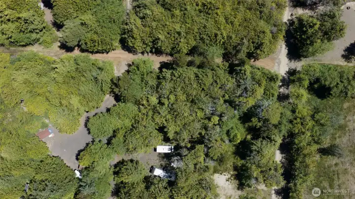 Off Grid Living
