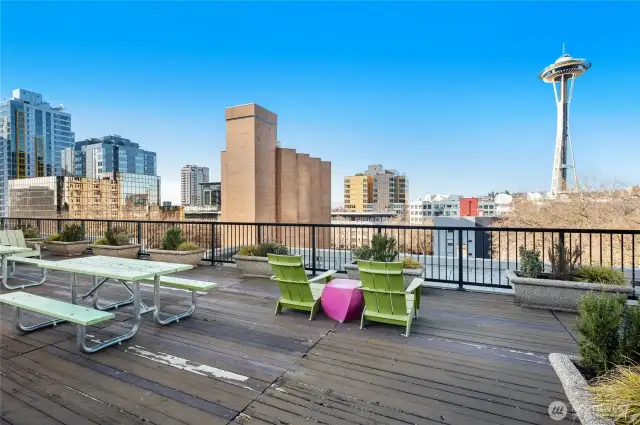 Rooftop Garden